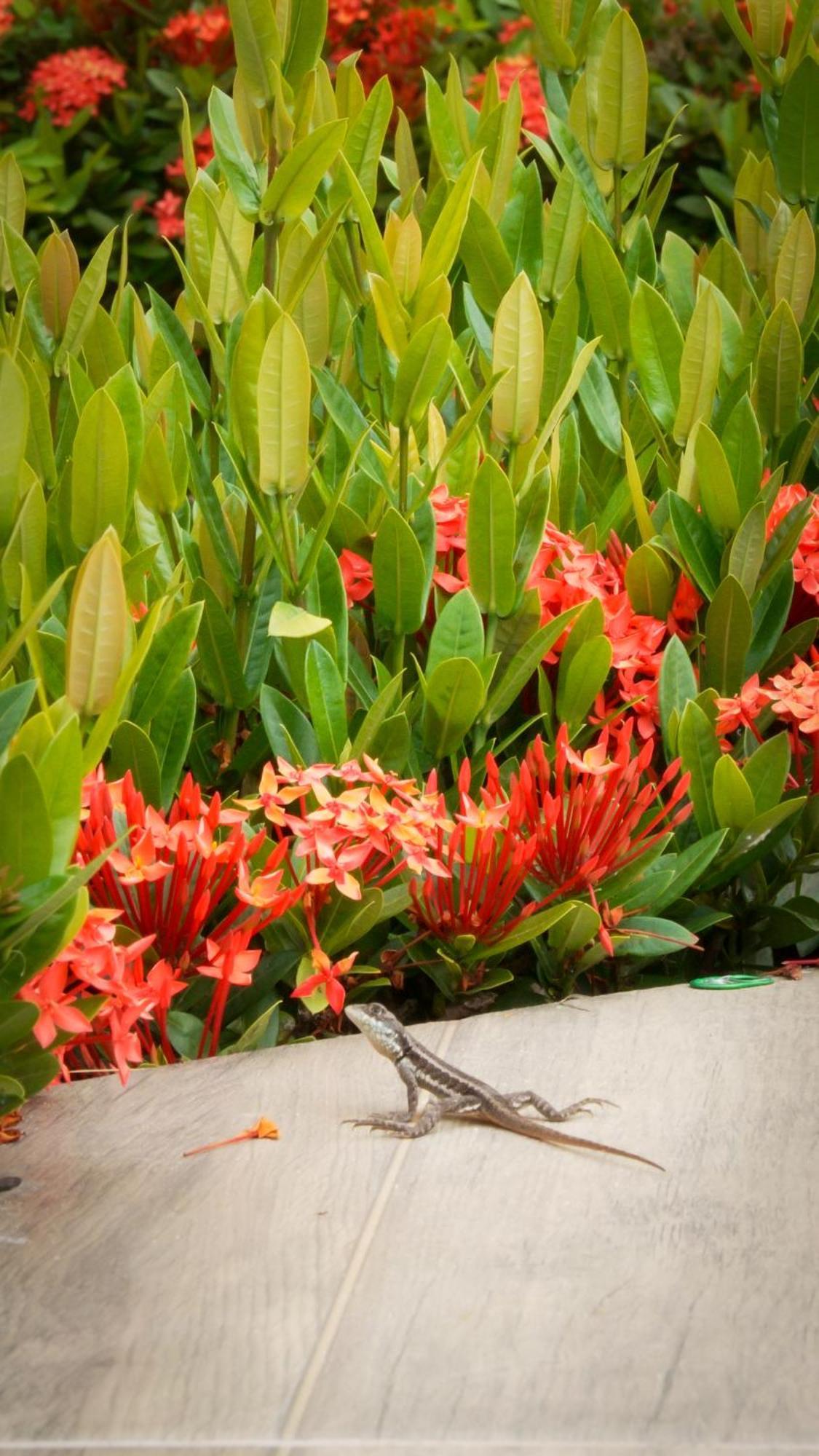 Bem Bahia Hotel - Rede Bem Bahia Mutari エクステリア 写真